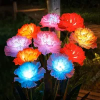 Solar Carnation Flower Garden Lights (4 Head) thumbnail 1