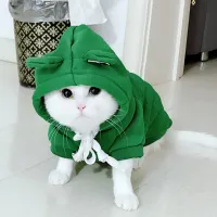 Winter Pet Hoodie Sweater Costume thumbnail 6