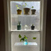 Acrylic Window Plant Shelves thumbnail 1