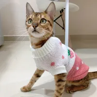 Winter Knitted Pet Sweater Hoodie thumbnail 4