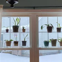 Acrylic Window Plant Shelves thumbnail 6