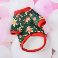 Winter Pet Hoodie Sweater for Cats & Dogs thumbnail 6