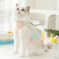 Mesh Dog Cooling Vest thumbnail 2
