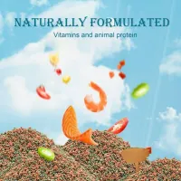 Small Betta Fish Food Aquarium Feed thumbnail 6