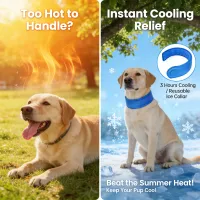 Instant Cooling Collar for Pets thumbnail 2