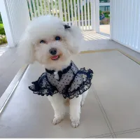 Dog Cooling Vest - Summer Pet T-Shirt thumbnail 5
