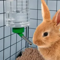 1000ml Small Animal Hanging Water Bottle thumbnail 1