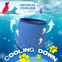 Dog Cooling Bandana 2 Pack thumbnail 6