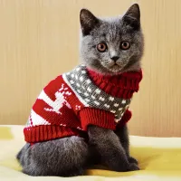 Cute Cat Winter Sweater Costume thumbnail 1