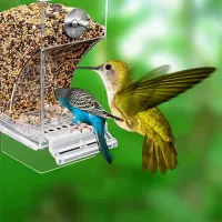 Automatic Parrot Feeder Drinker thumbnail 1