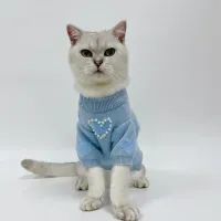 Knitted Pearl Dog Hoodie Sweater thumbnail 4