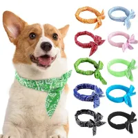 Dog Cooling Collar & Ice Scarf thumbnail 1