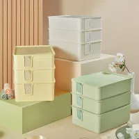 Grid Underwear Storage Organizer Box thumbnail 2