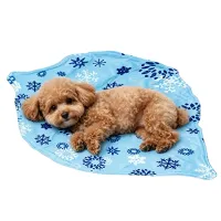 Pet Cooling Mat for Dogs & Cats thumbnail 2