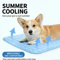 Extra Large Dog Cooling Mat thumbnail 2