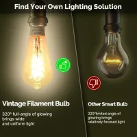 MOES Smart ST64 Edison LED Bulbs thumbnail 5