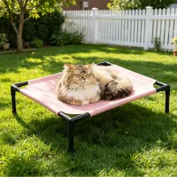 Elevated Cooling Pet Bed thumbnail 4