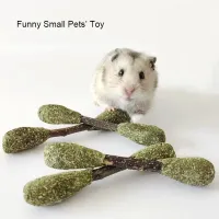 Golden Bear Hamster Foraging Bite Toy thumbnail 1