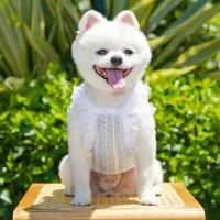 Luxury Dog Suspender Cooling Vest thumbnail 4