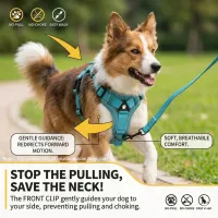 Adjustable Reflective Pet Harness & Leash Set thumbnail 4