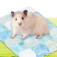 Pet Summer Cooling Nest Pad 2-Pack thumbnail 3