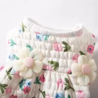 Tulip Cotton Teddy Coat for Yorkshire Terriers thumbnail 5