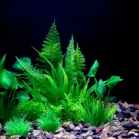 Artificial Aquarium Plastic Plants Set thumbnail 6