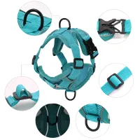 Adjustable Reflective Pet Harness & Leash Set thumbnail 3