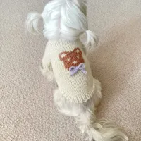Beige Bear Bow Knit Dog Hoodie Sweater thumbnail 1