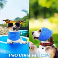 Cooling Pet Bandana for Heat Relief thumbnail 2