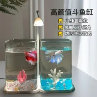 Mini Betta Fish Tank with Night Light thumbnail 2