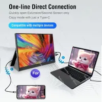 15.6" Portable IPS Monitor - USB-C External Display thumbnail 4