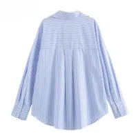 Cotton Oxford Lapel Blouse thumbnail 6
