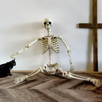 Life-Size Posable Skeleton Halloween Prop thumbnail 4