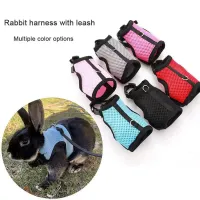 Breathable Small Pet Harness & Leash Set thumbnail 1