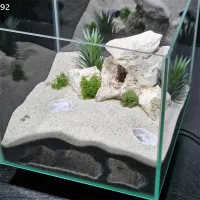 3D Printed Natural Curve Cave thumbnail 4