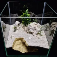 3D Printed Natural Rock Pet Hide thumbnail 3