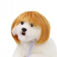 Pet Wig Dog Cat Halloween Costume thumbnail 2