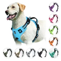 No Pull Padded Dog Harness with Control Handle thumbnail 1