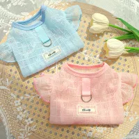 Fruit Print Dog Cooling Vest thumbnail 1