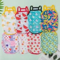 Ultra Thin Dog Cooling Vest thumbnail 1