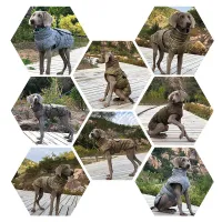 Winter Reflective Snowsuit Dog Coat thumbnail 5