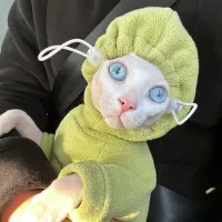 Sphynx Cat Fleece Hooded Sweater thumbnail 2