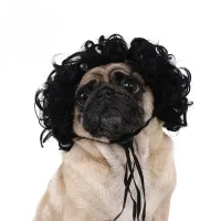 Pet Wig Dog Cat Halloween Costume thumbnail 4