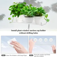Acrylic Window Plant Shelves thumbnail 4