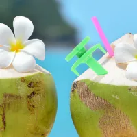 Coconut Opener Tool Set (20pcs) thumbnail 1