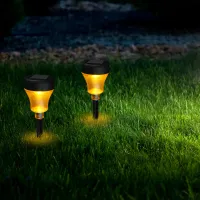 Solar Pathway Lights (2-Pack) thumbnail 5