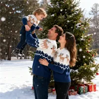 Family Christmas Elk Print Sweater thumbnail 3