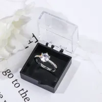 Small Clips Storage Box Organizer thumbnail 1