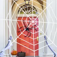 Halloween Giant Spider Web Decoration thumbnail 1